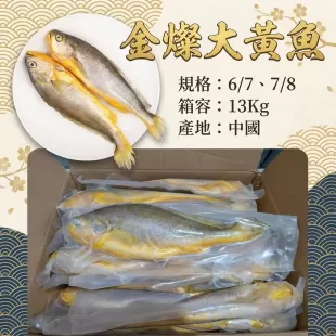 高級魚貨生產 有騰海洋經銷 黃魚