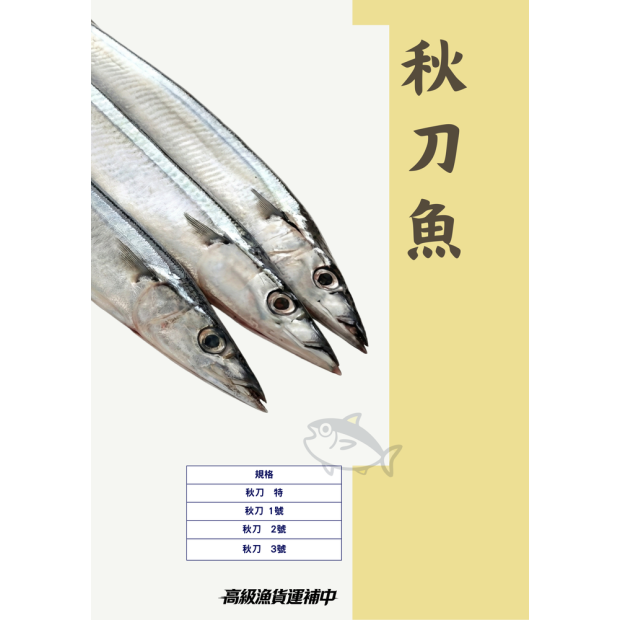 秋刀魚 高級魚貨