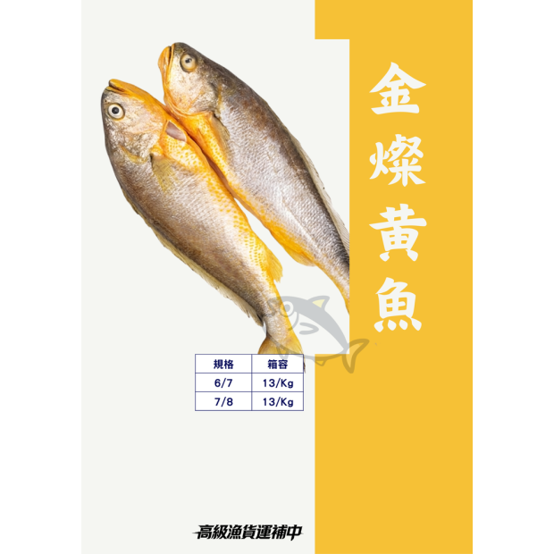 高級魚貨 黃魚