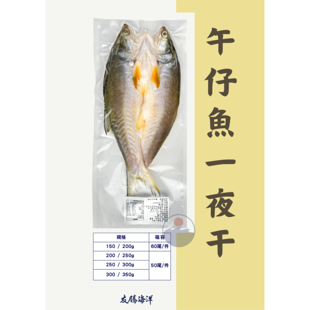 屏東午仔魚一夜干 有騰海洋全規格供應