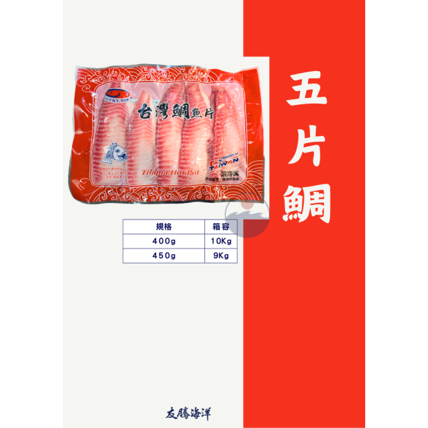 五片鯛魚 友騰海洋