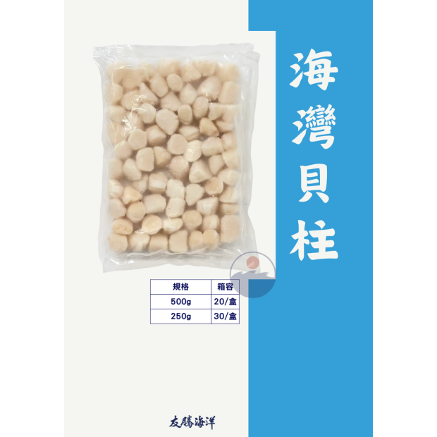 生食級海灣貝柱 友騰海洋